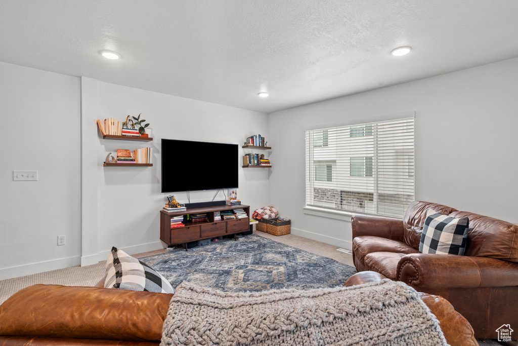Carpeted living area with baseboards and recessed lighting