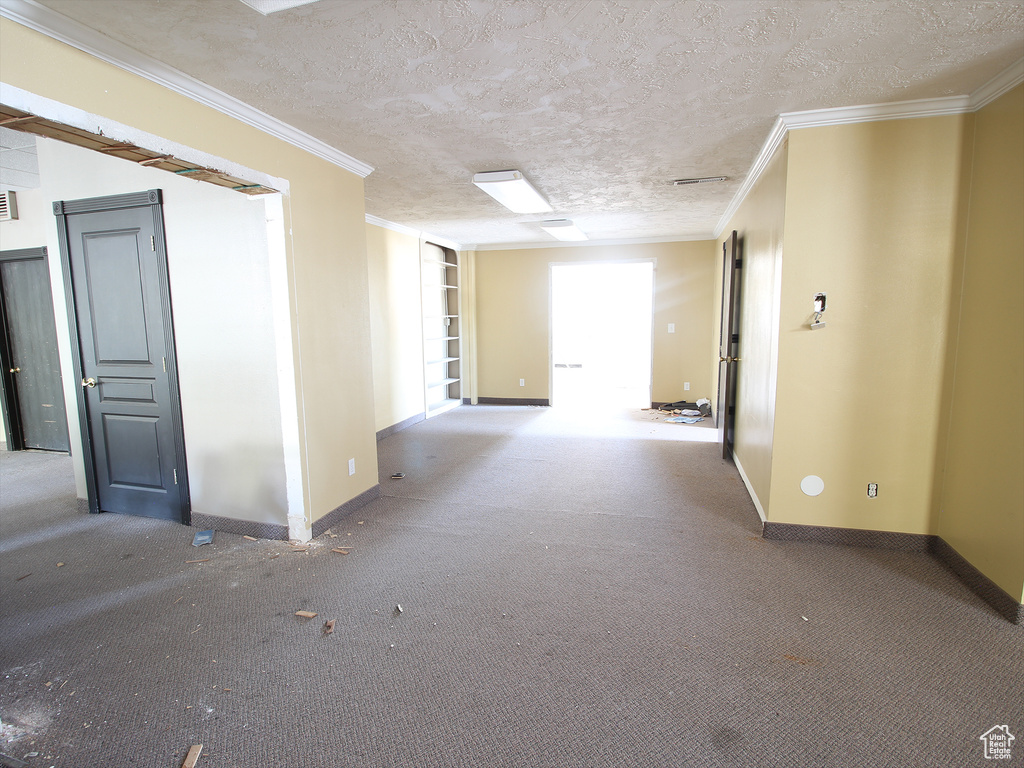 Spare room with baseboards, carpet, ornamental molding, and a textured ceiling