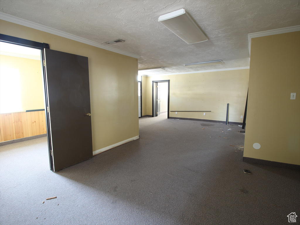 Spare room with a textured ceiling, baseboards, ornamental molding, and carpet floors