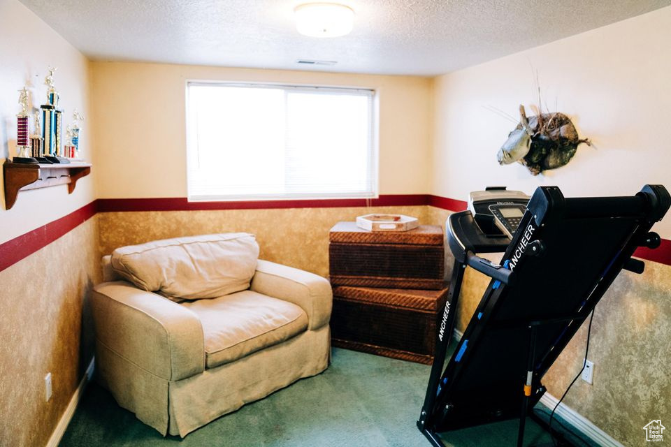 Living area featuring a textured ceiling and carpet floors