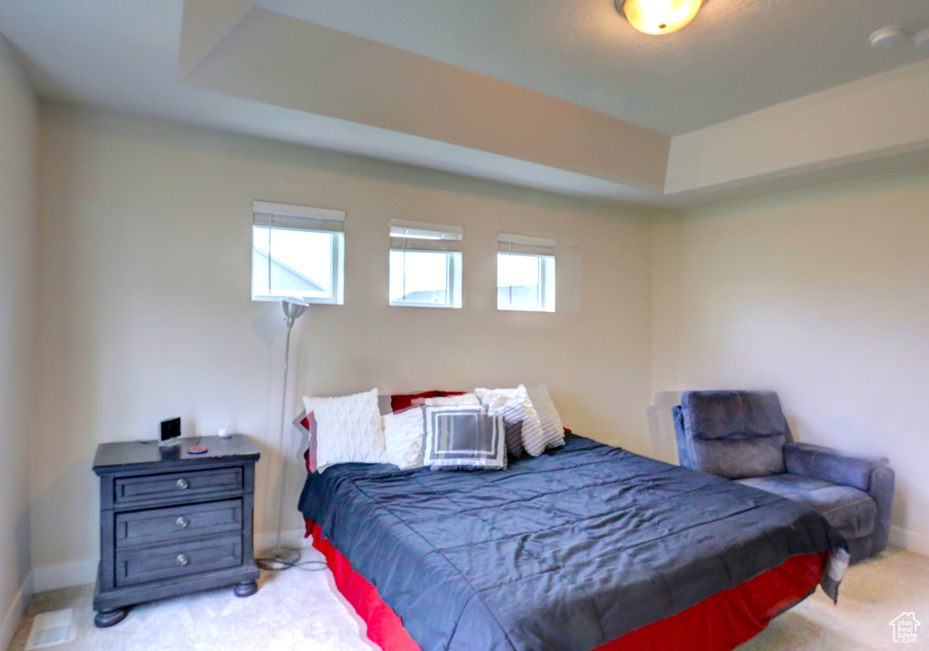 Bedroom featuring baseboards, a raised ceiling, and carpet