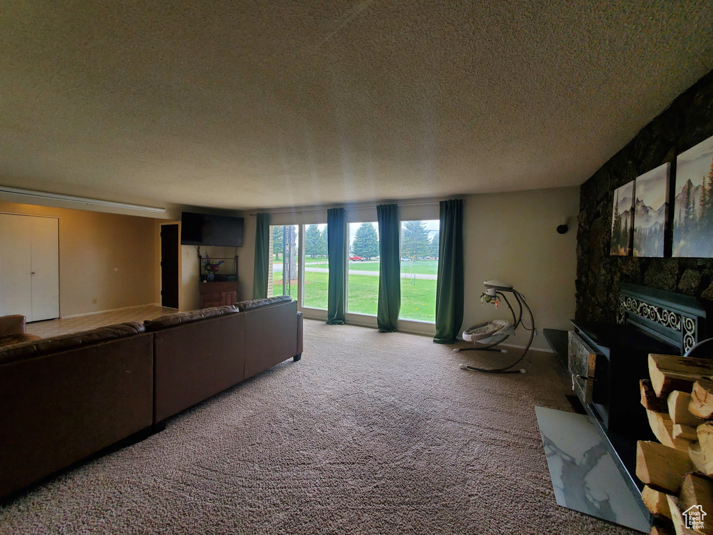 Carpeted living area with a textured ceiling