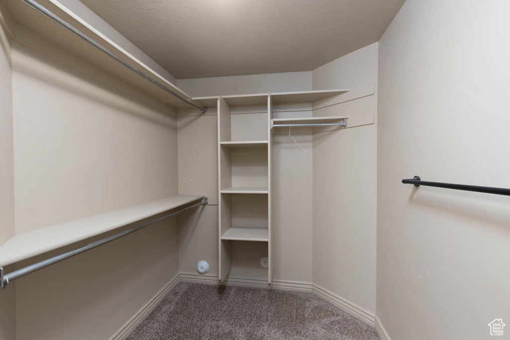Spacious closet with carpet