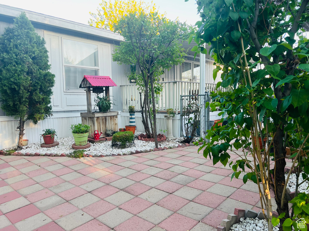 View of patio
