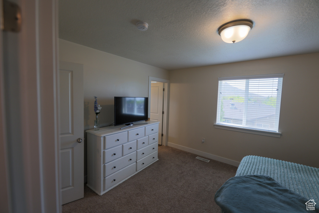Carpeted bedroom with a textured ceiling, visible vents, and baseboards