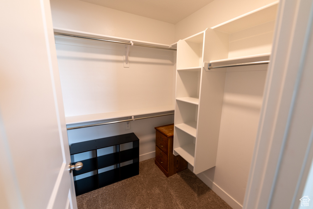 Walk in closet featuring dark carpet
