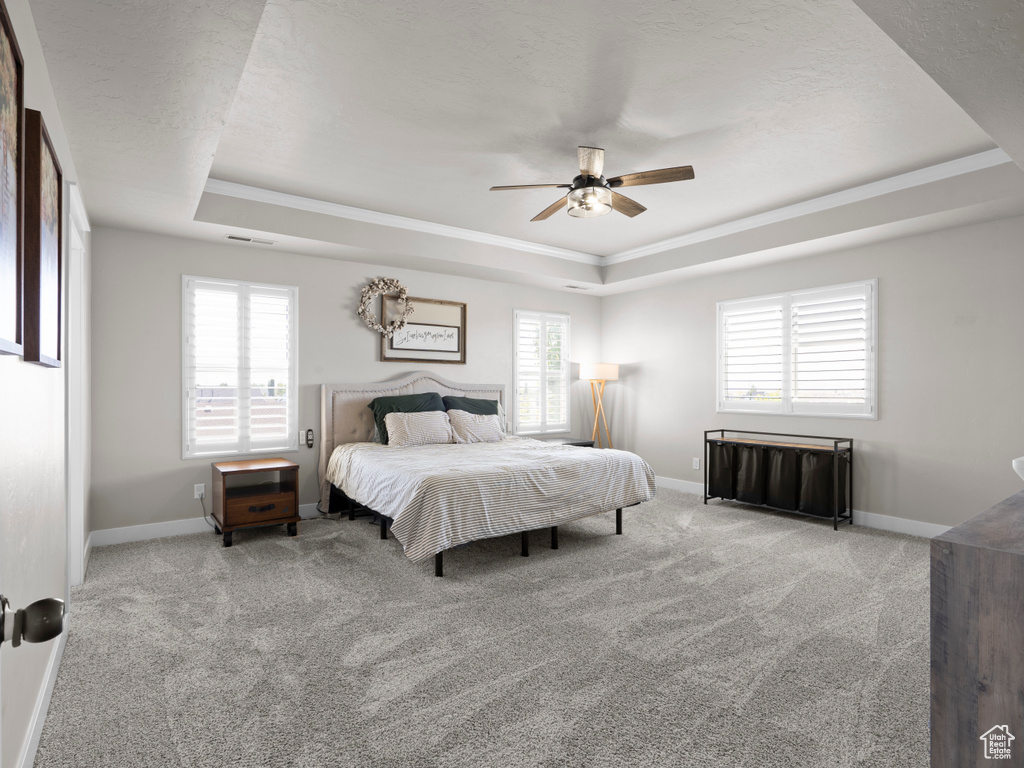 Bedroom with baseboards, a tray ceiling, and carpet
