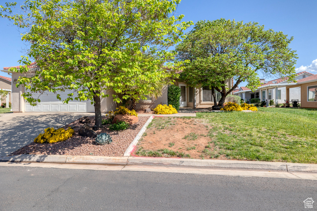 View of property hidden behind natural elements with a front lawn, driveway, stucco siding, and an attached garage