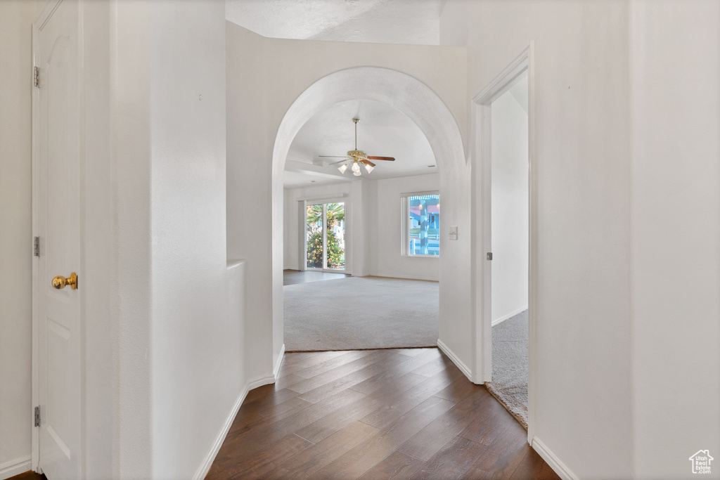 Hall with dark colored carpet, arched walkways, baseboards, and dark wood finished floors