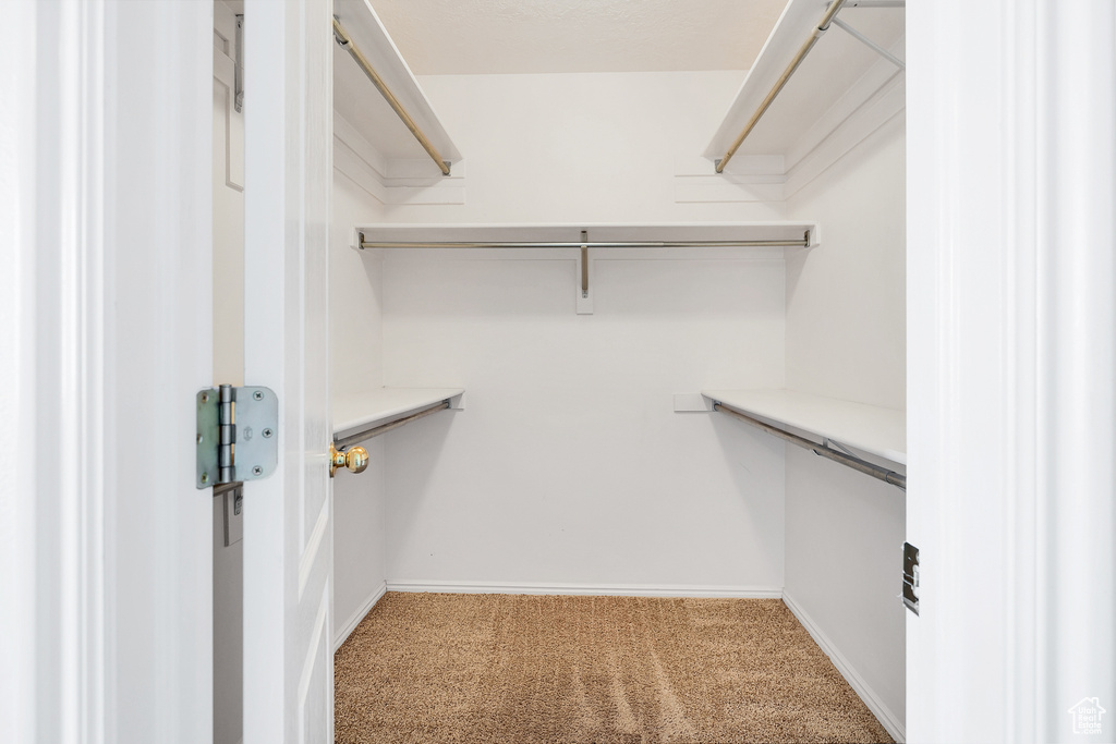 Spacious closet with light carpet