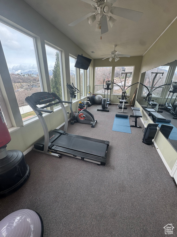 Exercise room featuring carpet flooring, baseboards, and ceiling fan