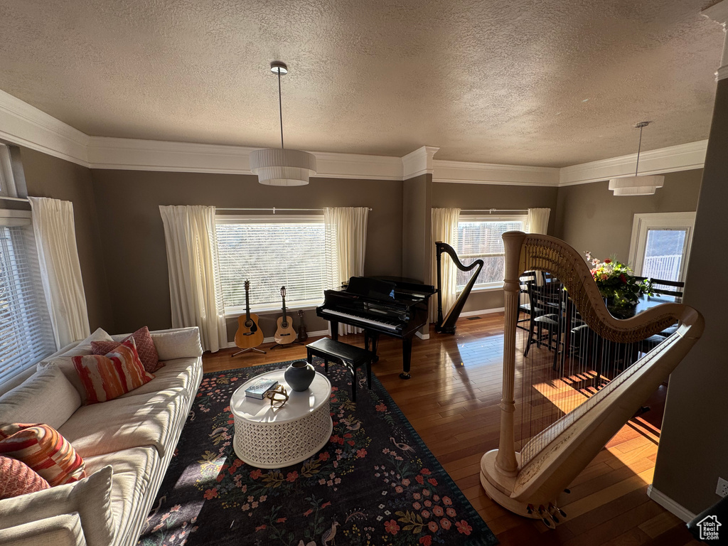 Living room featuring crown molding, a textured ceiling, and wood finished floors
