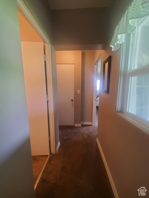 Hallway with baseboards and carpet floors