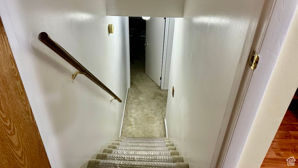 Staircase featuring carpet