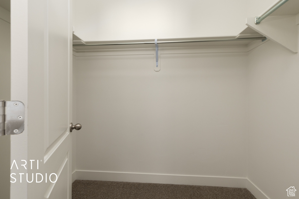 Walk in closet with carpet floors