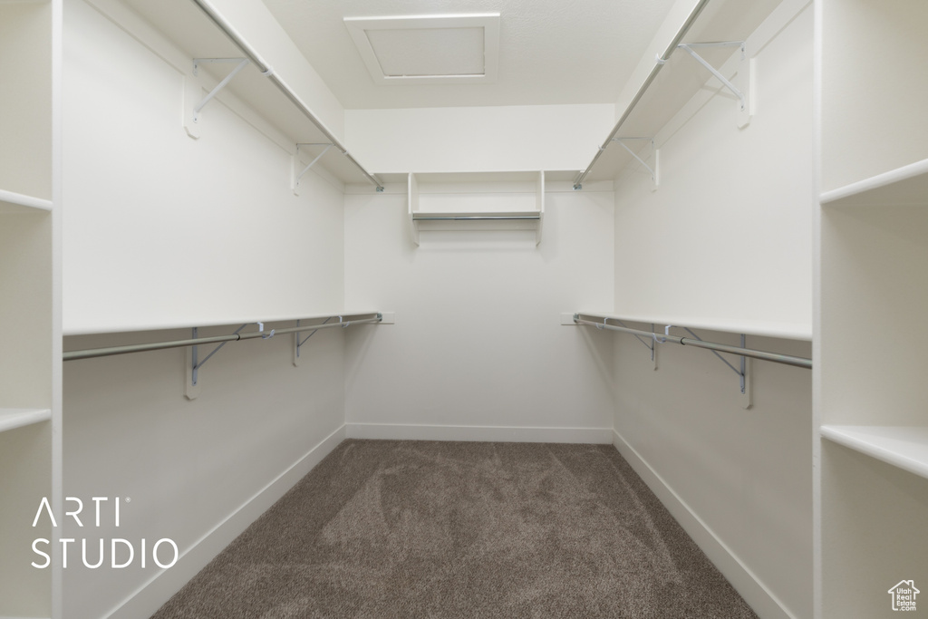 Spacious closet with attic access and carpet floors