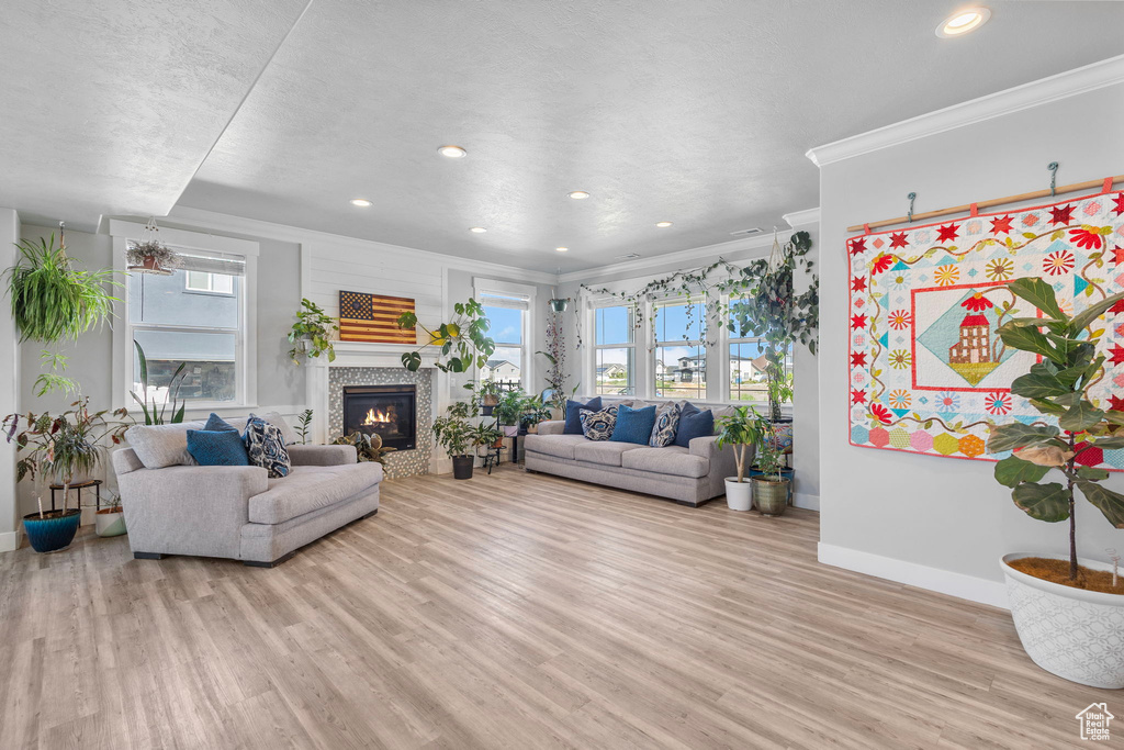Living area featuring light wood finished floors, crown molding, baseboards, and a healthy amount of sunlight