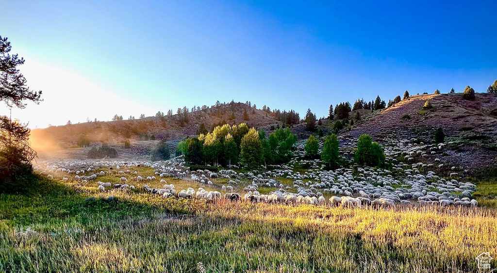 View of landscape featuring a mountain view