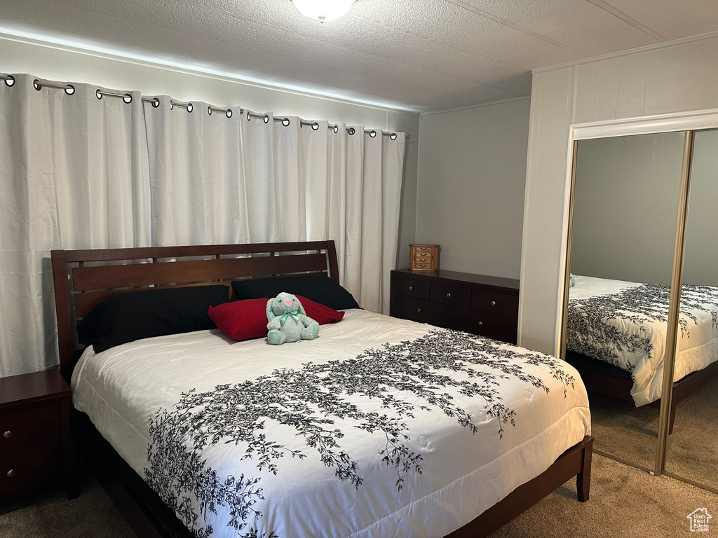 Bedroom featuring carpet flooring and a closet