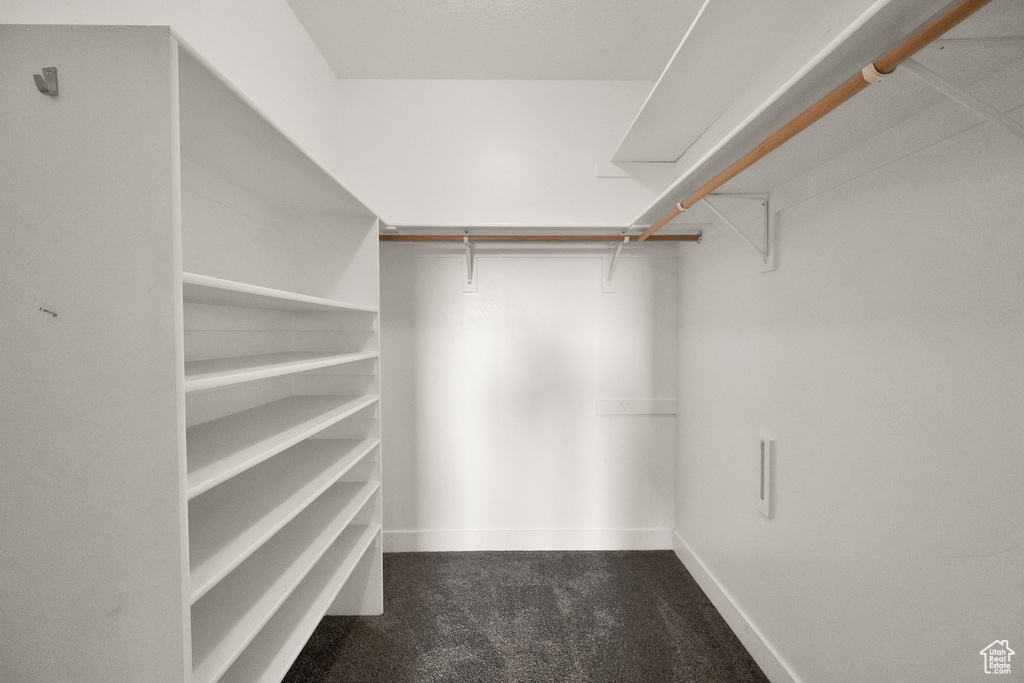 Spacious closet with dark colored carpet