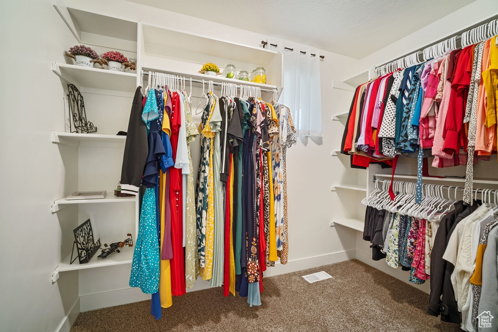 Spacious closet featuring visible vents and carpet