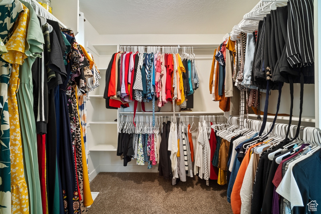 Walk in closet featuring carpet floors