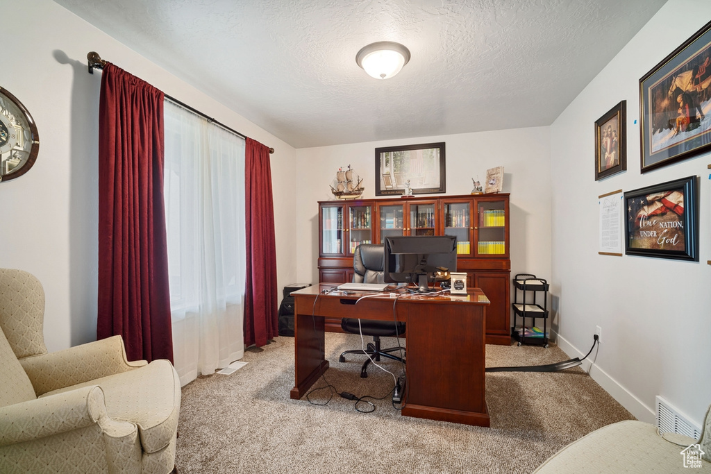 Carpeted home office featuring a textured ceiling and baseboards