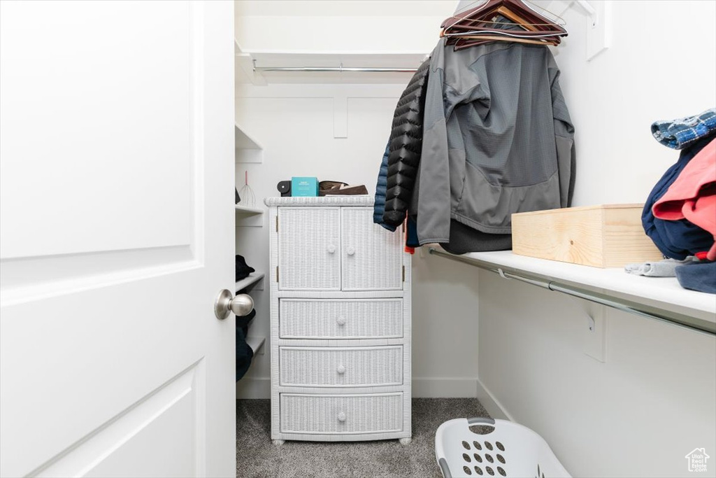 Walk in closet featuring carpet