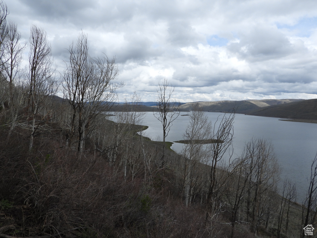 Water view