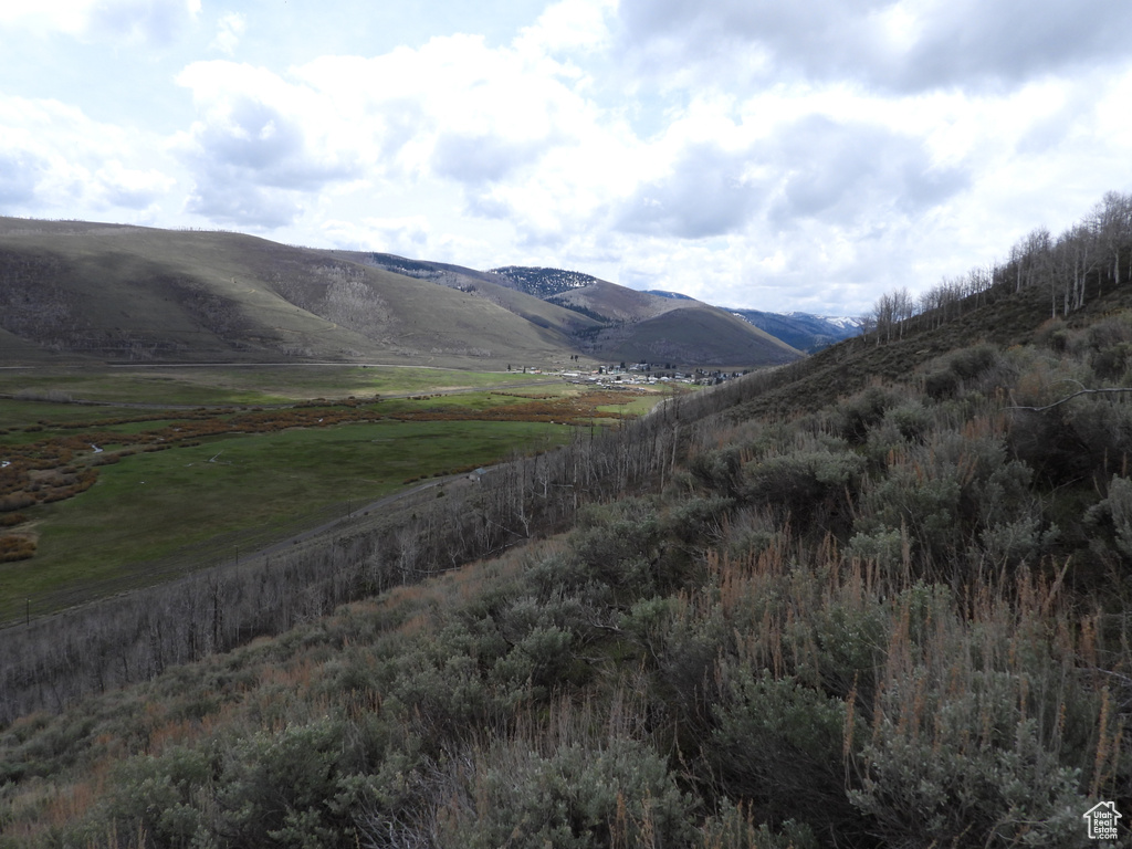 Mountain view