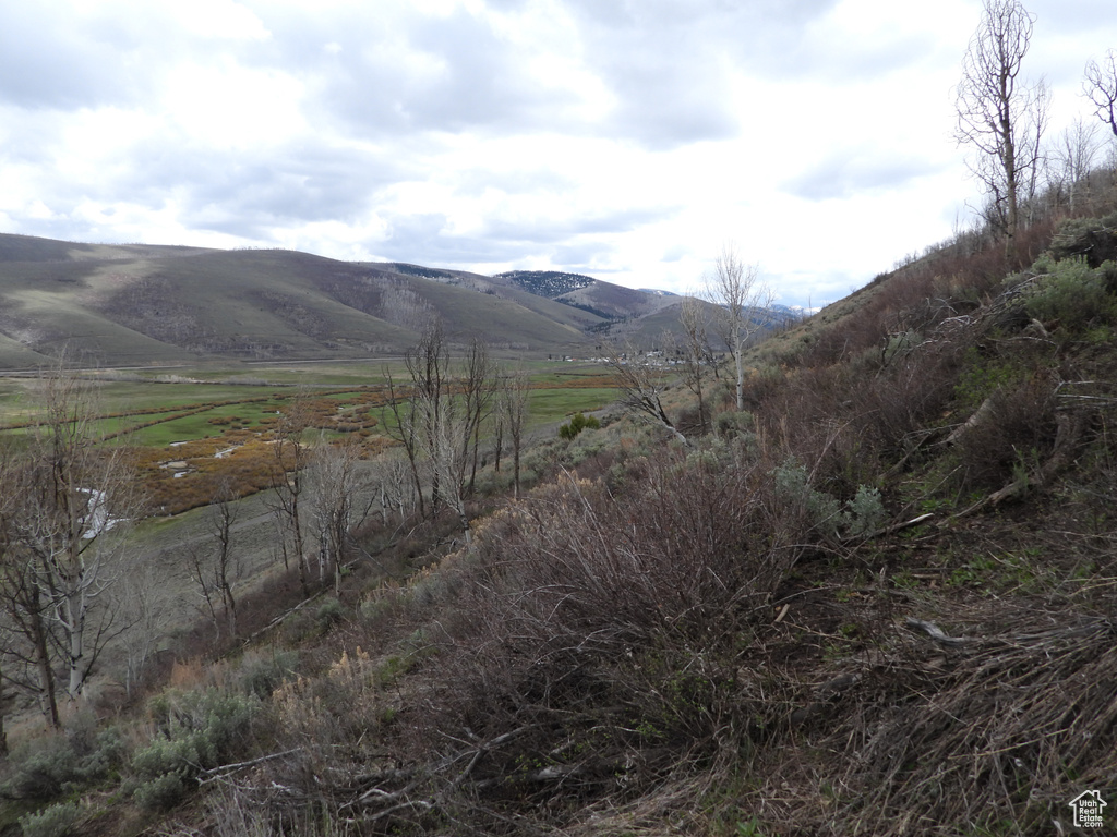 Mountain view with a rural view
