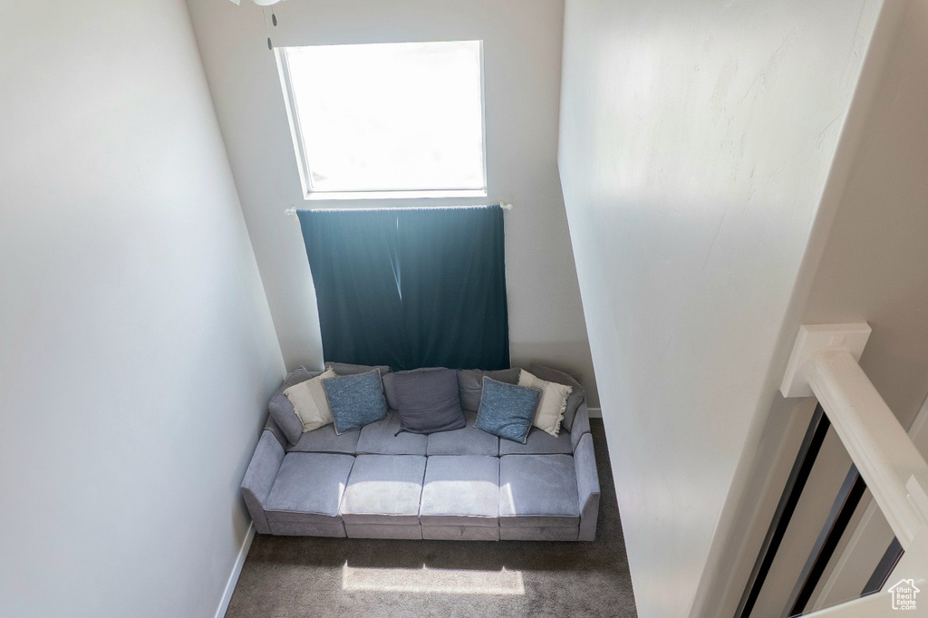 Living area with carpet floors
