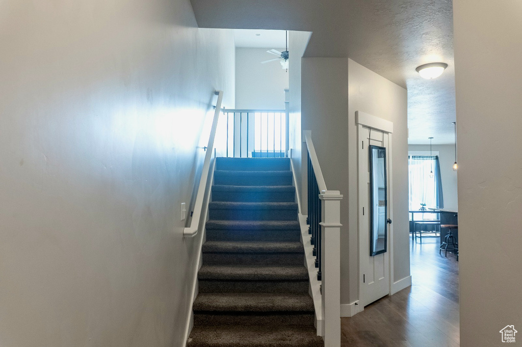 Stairway featuring ceiling fan and wood finished floors
