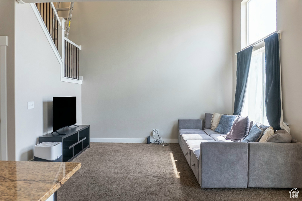Living room with plenty of natural light, a towering ceiling, and carpet floors