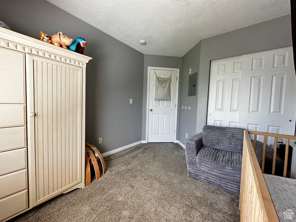 Interior space featuring electric panel, carpet, a textured ceiling, and baseboards