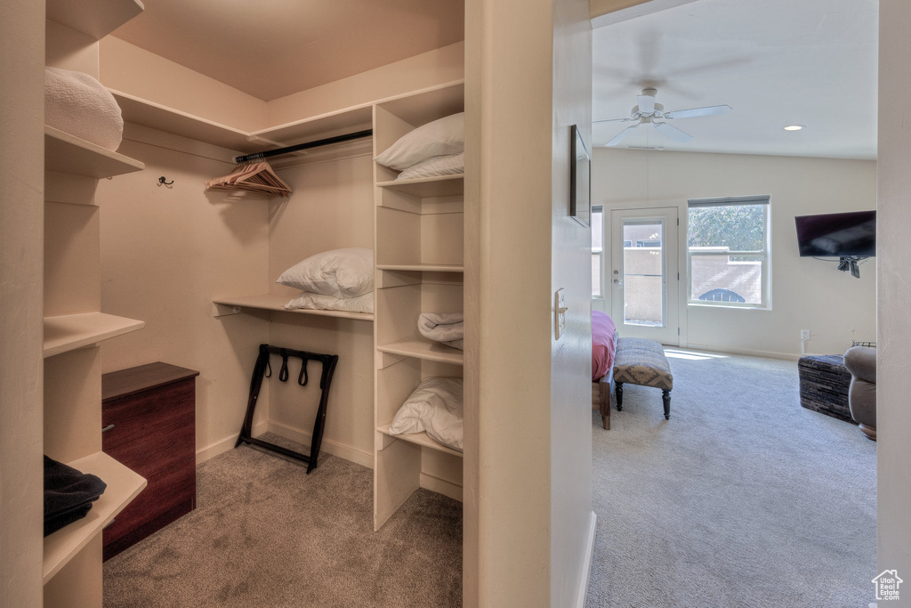 Walk in closet featuring ceiling fan and carpet