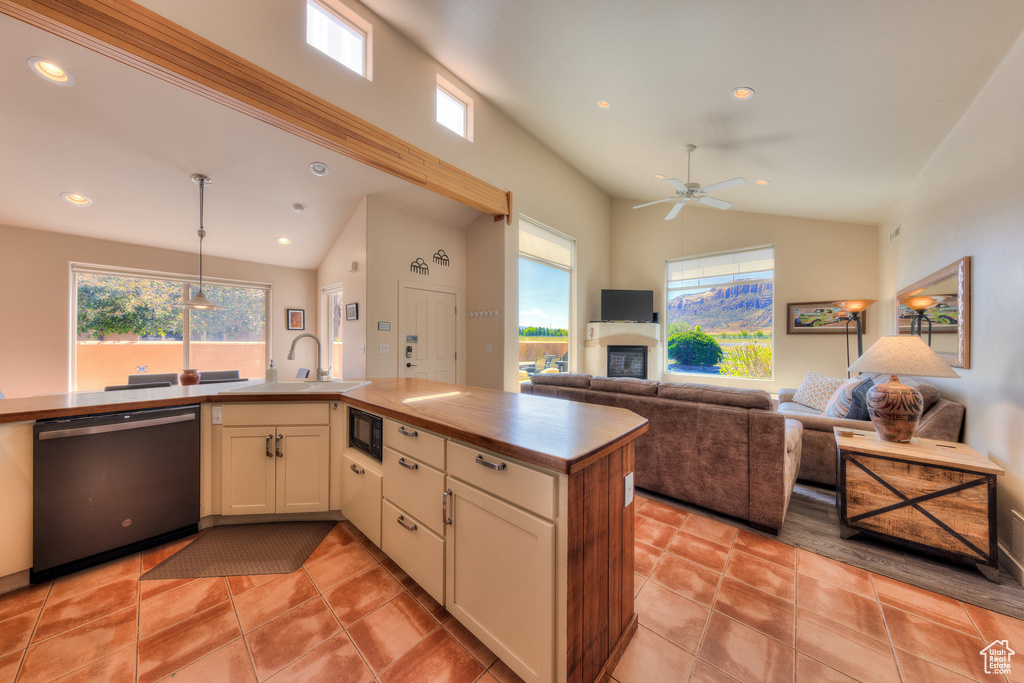 Kitchen featuring a wealth of natural light, dishwashing machine, open floor plan, and a sink