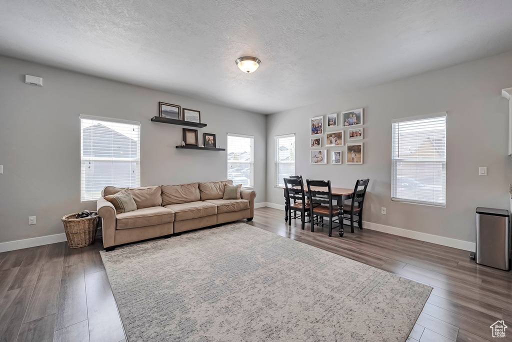 Living room featuring a textured ceiling, plenty of natural light, and wood finished floors