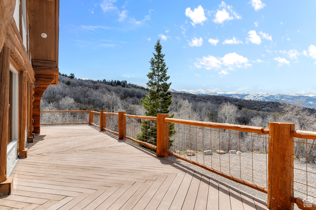 23092 N 13766 RD #90 Fairview, UT 84629