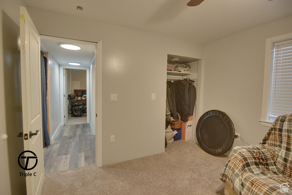 Bedroom featuring a closet and carpet floors