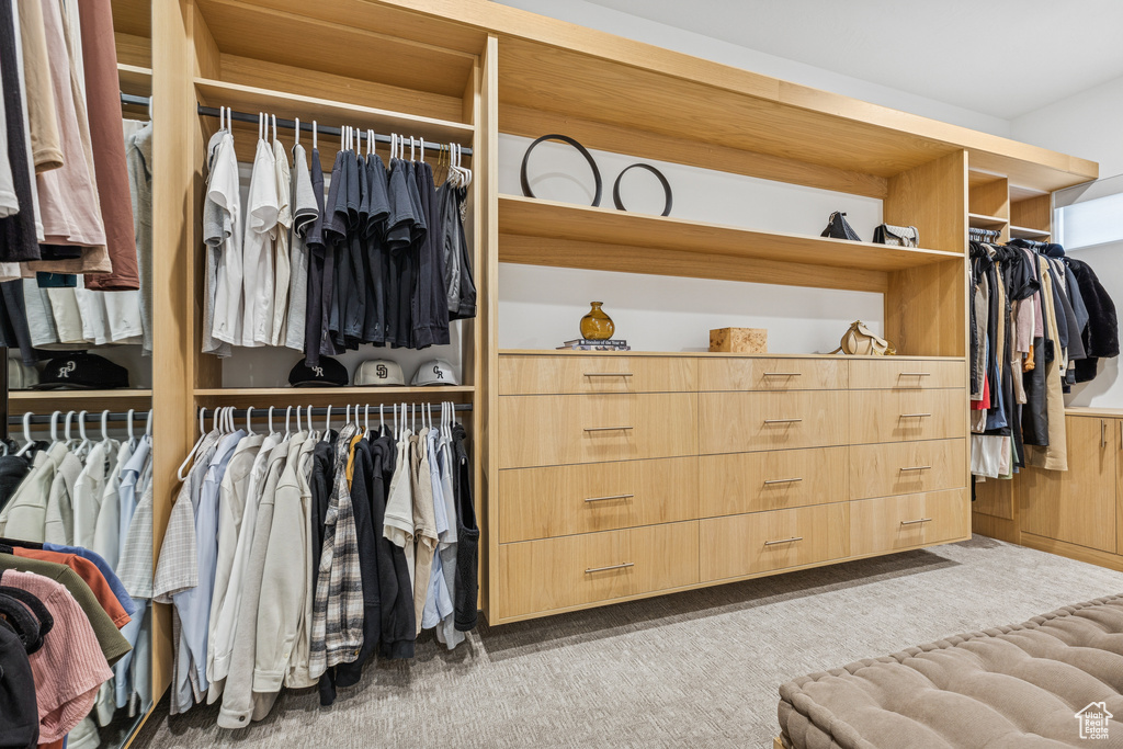 Walk in closet featuring carpet