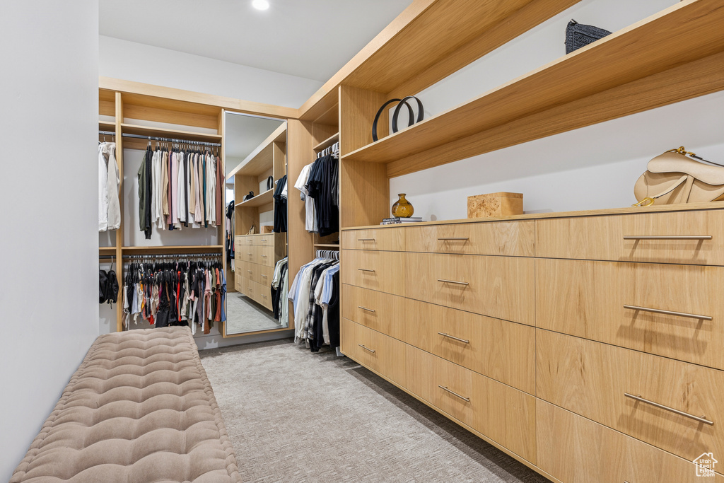 Spacious closet featuring carpet floors