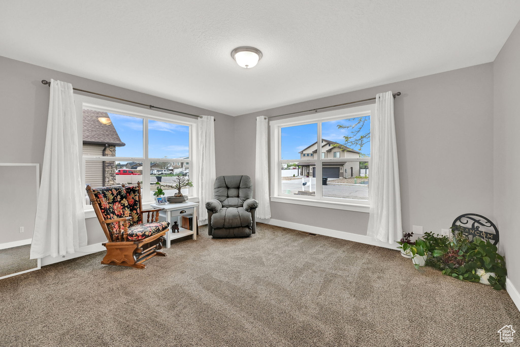 Living area featuring carpet flooring and baseboards