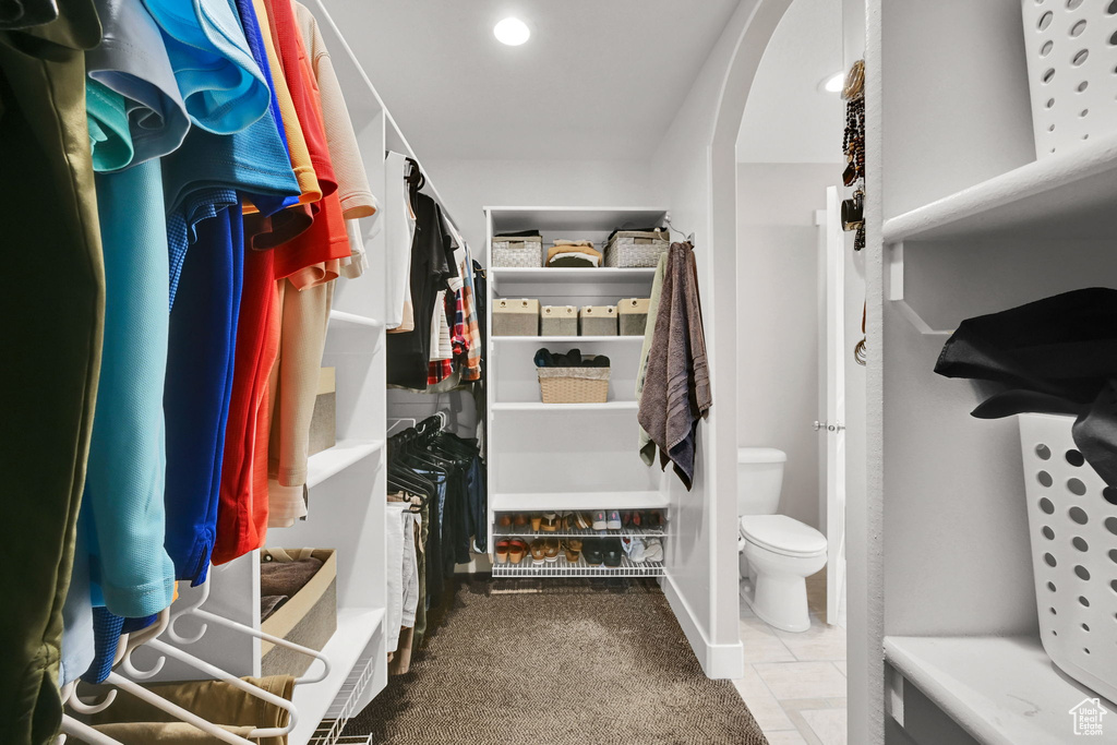 Spacious closet with arched walkways and carpet floors