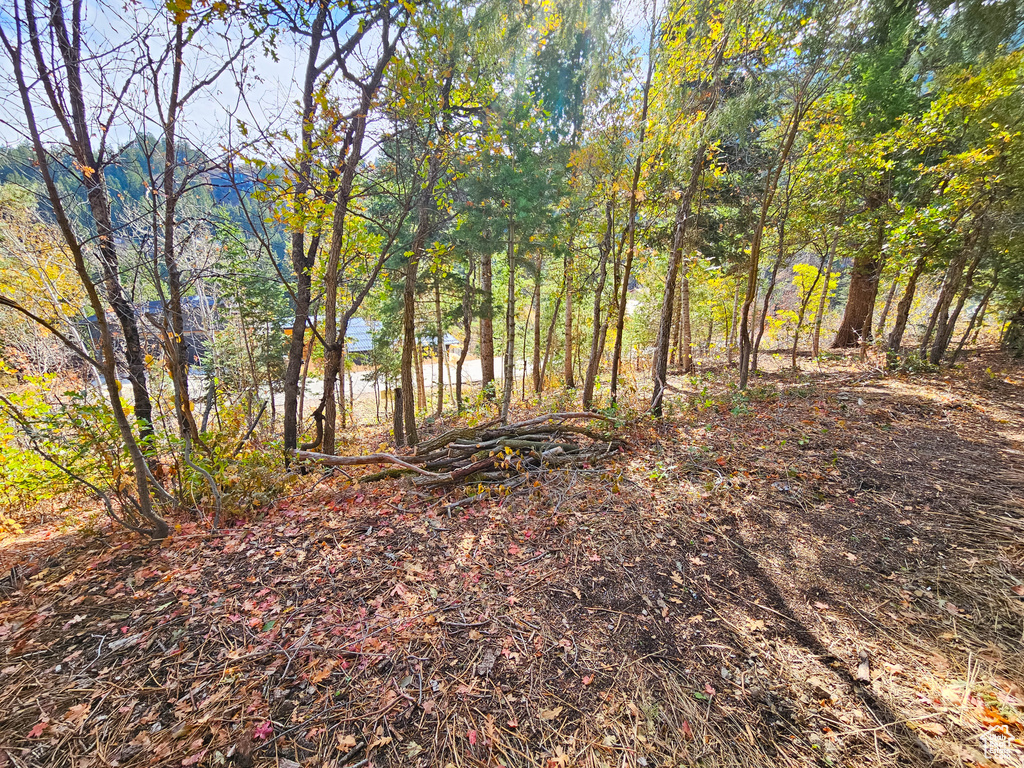 View of nature