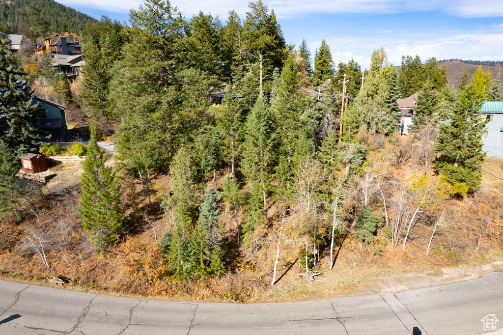 Aerial view featuring a view of trees