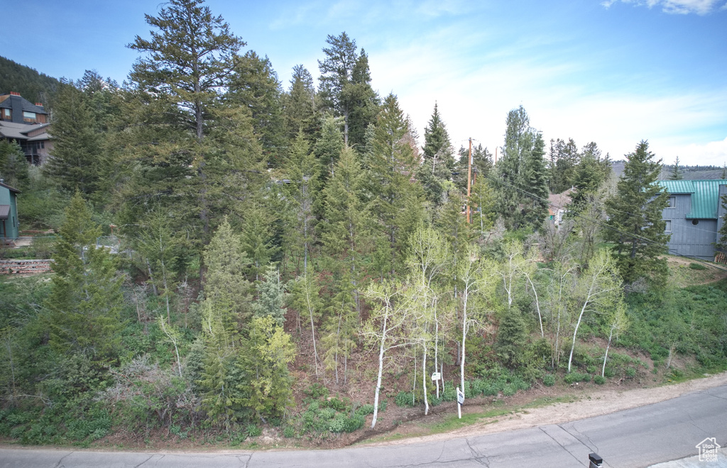 View of asphalt road with a wooded view