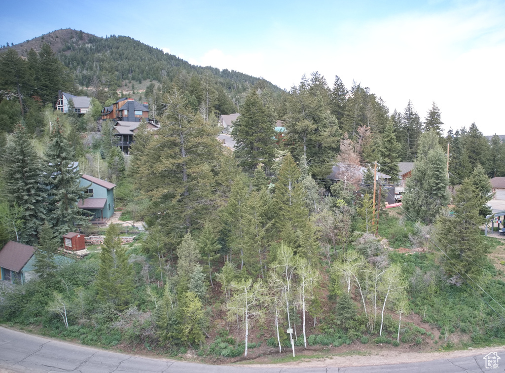 View of mountain background with a heavily wooded area