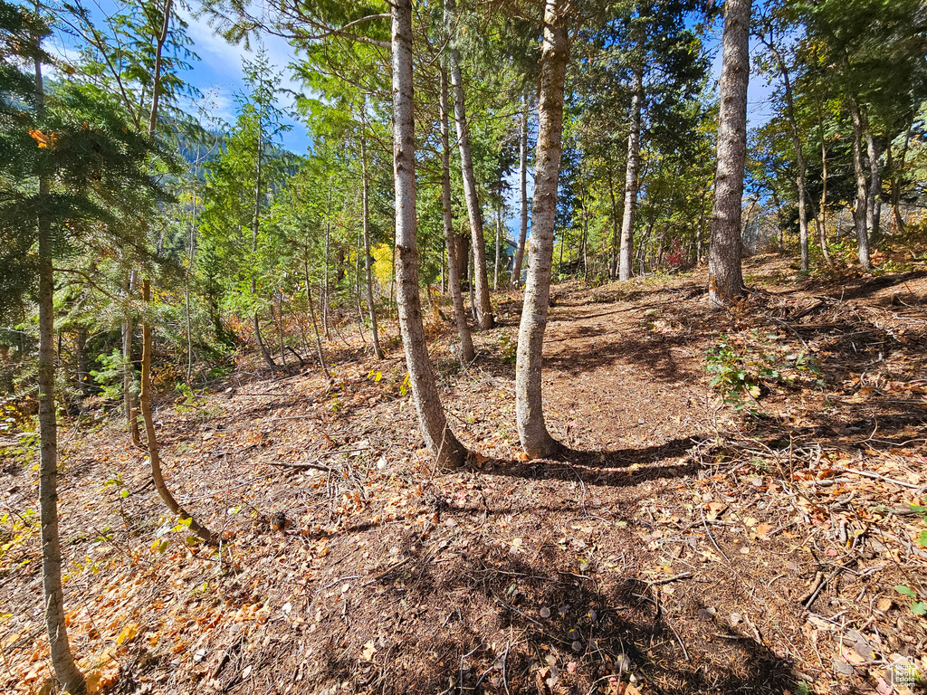 View of nature