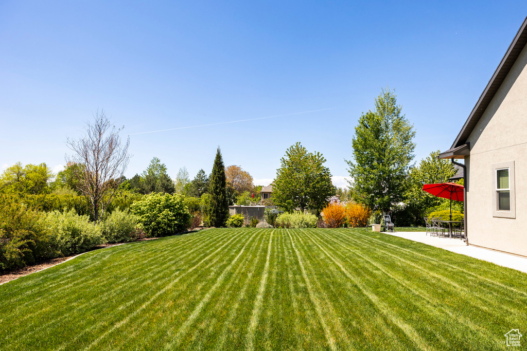 View of yard with a patio area
